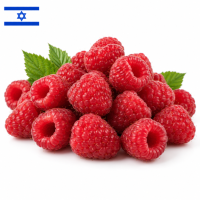 פטל אדום