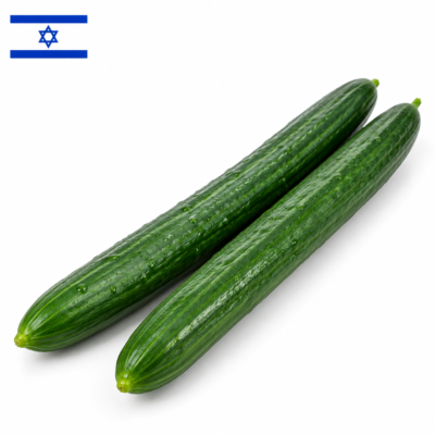 מלפפון ארומטו גדול