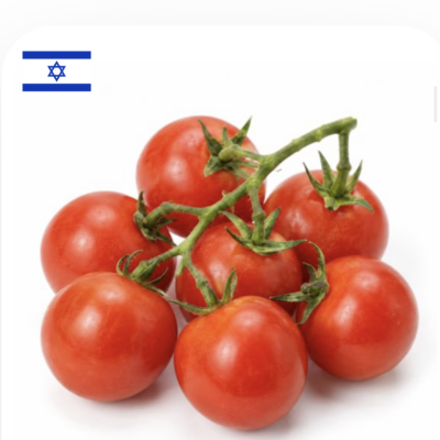 עגבניות מגי